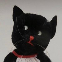 43 (@43sasam) 's Twitter Profile Photo 43 (@43sasam) 's Twitter Profile Photo