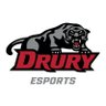 DruryEsports's profile picture. We are the @DruryPanthers esports club https://t.co/YnUZFvl7lO