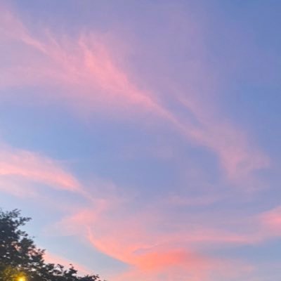 ym030506's profile picture. 