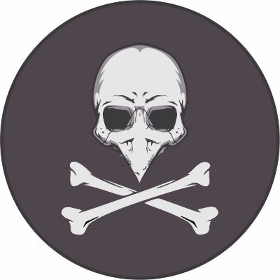 pinguim_info's profile picture. "Só o rock salva!"