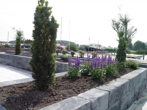 ChiqoBouwenTuin's profile picture. Groothandel en particuliere verkoop van alle soorten bouw- en tuinhout, (sier)bestrating, composiet, rubbertegels, tuininrichting etc.