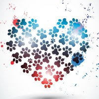 The Rainbow Bridge (@therainbowbrdg) 's Twitter Profile Photo