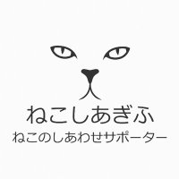 ねこしあぎふ (@necoshia_gifu) 's Twitter Profile Photo