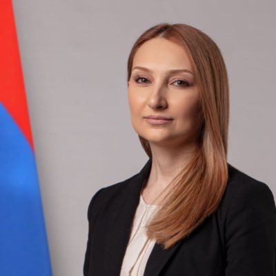 Chief Advisor to the Prime Minister of Armenia. Former Ambassador of the Republic of Armenia to the USA. Former Member of Parliament, Majority Leader.