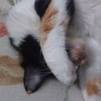 Mari (@mari_cansada08) 's Twitter Profile