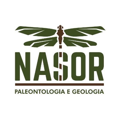 Escavando fósseis em todo o Brasil. Serviços de Paleontologia e Geologia com a melhor técnica do mercado.