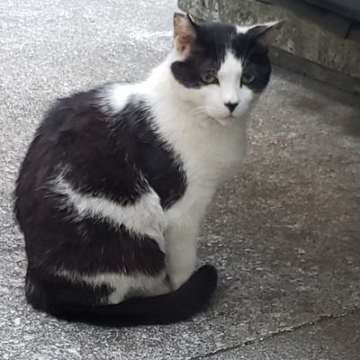 you232670820's profile picture. 