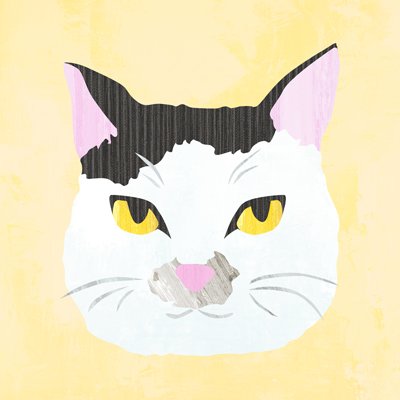 わいさんのプロフィール画像