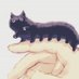 CATerpillar (@sgtailurus) Twitter profile photo CATerpillar (@sgtailurus) Twitter profile photo