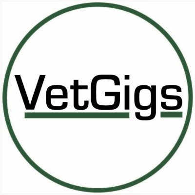 VetGigs is the High-Income Talent Marketplace for Veterans and Military Spouses. Find full-time and freelance jobs, certification programs, resume help, & more.