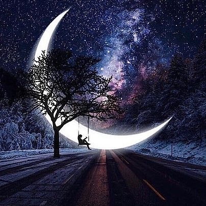 xaxndvxr's profile picture. 忖度なしで言いたいことを言うための垢。