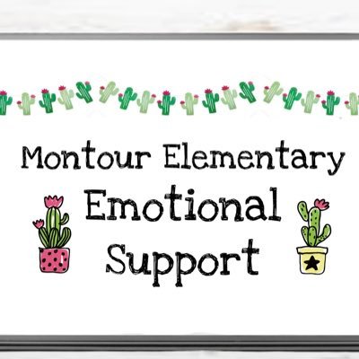 Montour_ES's profile picture. Teachers: Elizabeth Addison & Kelsey Matarazzo                   Paraprofessional: Cydney Miller