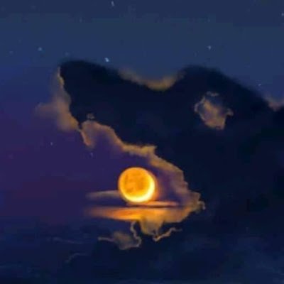 rafatrejo18's profile picture. 