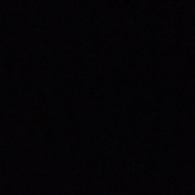 gtgbush's profile picture. 