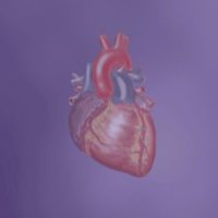 Univ. of Washington Cardiology Fellows(@uwashfellows) 's Twitter Profile Photo