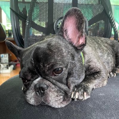 thirteen13dec's profile picture. Be what you want to be Not what others want to see