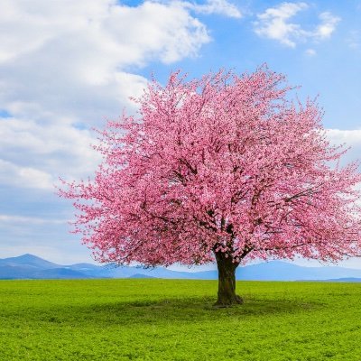 Educator, advocate.
I support animal rights🐾.
I oppose antisemitism🕎
I support bodily autonomy👤
I support gender and LGBTQ equality🏳️🌈