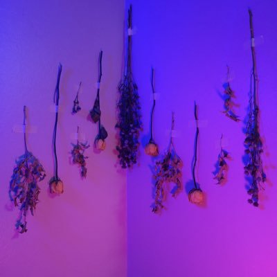 wwwpqwwwpq's profile picture. 