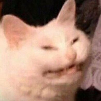 Yinnerston's profile picture. pencil