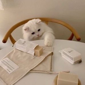 tchanaie1's profile picture. 