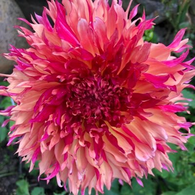 HillsideJP's profile picture. enjoying every day