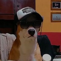 Leo Pistea (@wkeleo) 's Twitter Profile