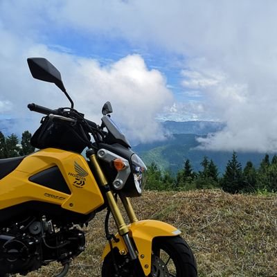 香川在住。古のヲタクで飯テロする人でバイク乗りで釣り人。たまーにアニソン弾き語りストだったりサイクリストだったりレイヤーだったり。
オリンパスOM-1、OM-D E-M10使ってるなんちゃってカメラマンです。