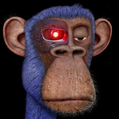 Tomáš Toman Profile