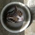сказки моя кровь, пропп моя любовь (@pastuwka) Twitter profile photo сказки моя кровь, пропп моя любовь (@pastuwka) Twitter profile photo
