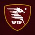 US Salernitana 1919 (@OfficialUSS1919) Twitter profile photo