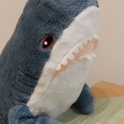 hisami8080's profile picture. だいたいお茶について、つぶやいてます。いのちだいじに。クラシック聞き専永遠の初心者。BlueSky、note、mixi2も同じアカウントで運用しています。
フォロー／リムーブはご自由に。（出会い系・投資系はNG）