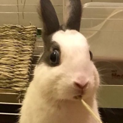 はるさんのプロフィール画像