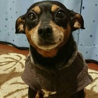 ぴーち☆ (@peach111111) 's Twitter Profile