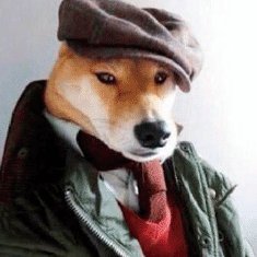 Persona humana con menos coeficiente intelectual que tú y yo juntos