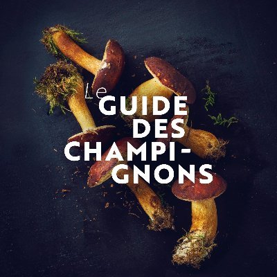 Un guide des champignons qui propose une méthode astucieuse pour l’identification des champignons, pour les néophytes tout en étant plus moderne et graphique