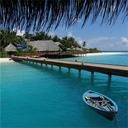 Madelyn Skinner - @mms_11_95 - Twitter