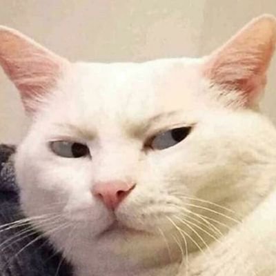 llopelli_'s profile picture. None