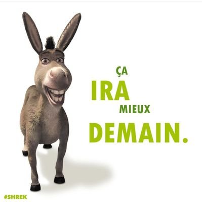 PatateFlambe's profile picture. Ici ça chiale