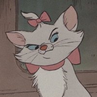 o (@hugdrummer) 's Twitter Profile