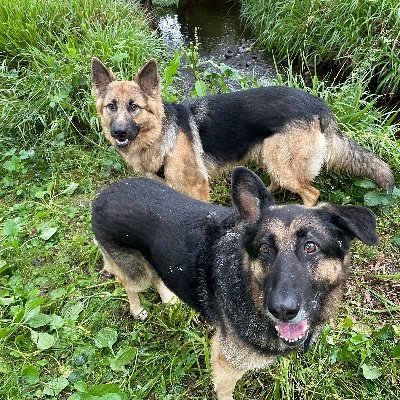 hstrachan305's profile picture. 