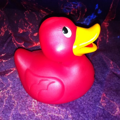 hells19's profile picture. 