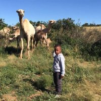 White Gold Camel Milk - Kenya(@whitegold_kenya) 's Twitter Profile Photo