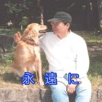 ぽきお (@pokio555) 's Twitter Profile