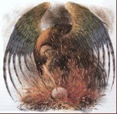 teallfleming's profile picture. Child of God, Disciple of Jesus Christ, Husband to Liz, Father of 4, Bipolar Warrior, Recovering Asshole, Religion Professor