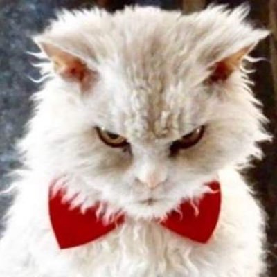 duomerr's profile picture. 