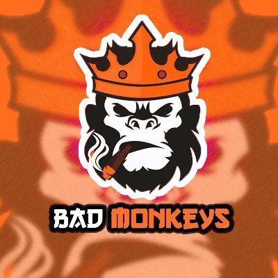 Bad Monkeys Profile