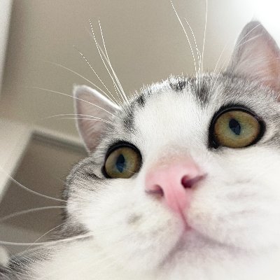 Richard10106184's profile picture. 人を見るとき、もっと重要なのは、見えるものより見えないものです。 思いやり、純粋さ、誠実さ、優しさ...目に見えない人間性を大切にする


人々の心は日々変化します。 そして、人々の状況は昨日と今日と同じではありません。 私は犬、猫、花が好きです