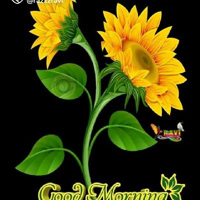 AnilMis97630186's profile picture. Tumkur railway station