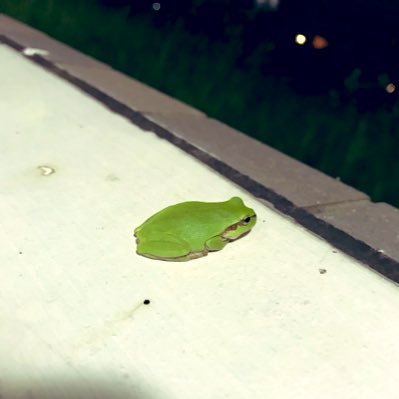 karieeeetty's profile picture. ニッチな微生物をいじったり