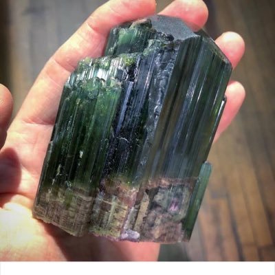 sojilah's profile picture. Grateful!